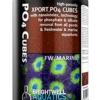 Brightwell Aquatics Xport PO4 Cubes - bacterial colonization for PHOSPHATES reduction (500ml) 1