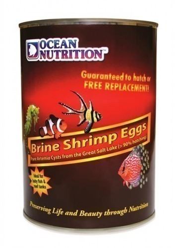 Ocean Nutrition Artemia/Brine Shrimp Eggs 454 gr 3