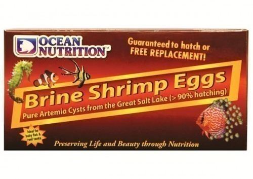 Ocean Nutrition Artemia/Brine Shrimp Eggs 50 gr 3