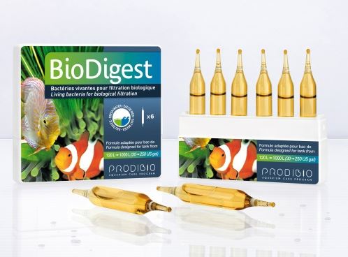 Prodibio BioDigest 6 Vials 3