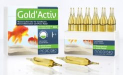 Prodibio Gold'Activ 12 Vials 5