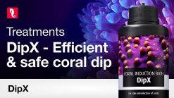 Red Sea DipX - effective dip for corals (5 L) 12