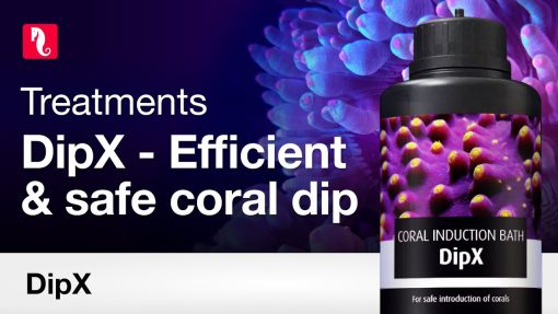 Red Sea DipX - effective dip for corals (5 L) 10